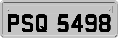 PSQ5498