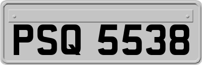 PSQ5538