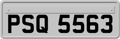 PSQ5563
