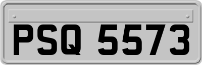 PSQ5573