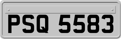 PSQ5583