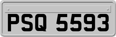 PSQ5593