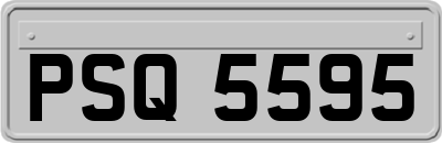 PSQ5595