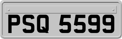 PSQ5599