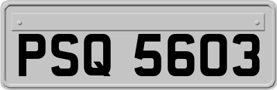 PSQ5603