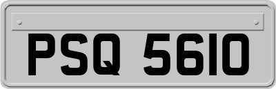 PSQ5610
