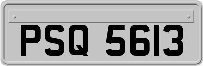 PSQ5613