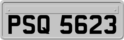 PSQ5623