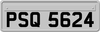 PSQ5624