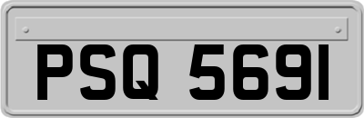 PSQ5691