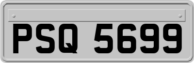 PSQ5699