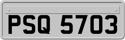 PSQ5703
