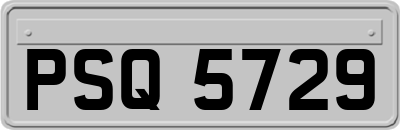 PSQ5729