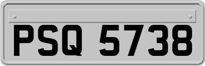 PSQ5738
