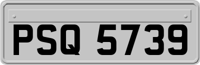 PSQ5739