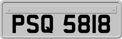 PSQ5818