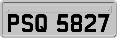 PSQ5827