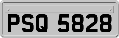 PSQ5828