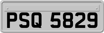 PSQ5829