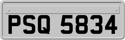 PSQ5834