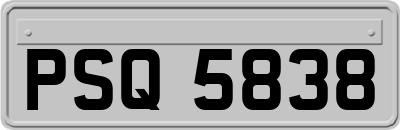 PSQ5838