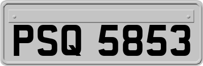 PSQ5853