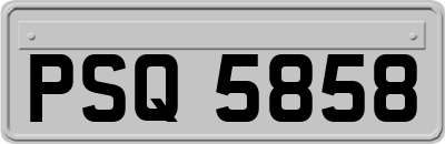 PSQ5858