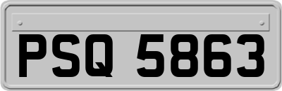 PSQ5863