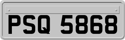PSQ5868