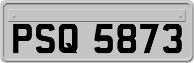 PSQ5873