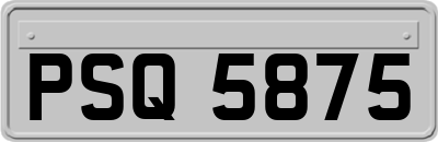 PSQ5875