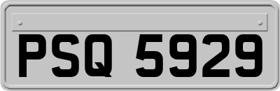 PSQ5929