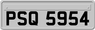 PSQ5954