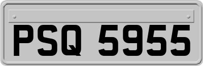 PSQ5955