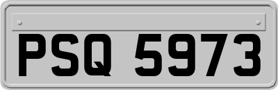 PSQ5973