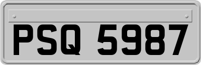 PSQ5987