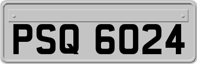 PSQ6024