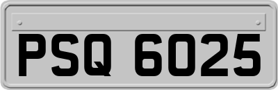 PSQ6025