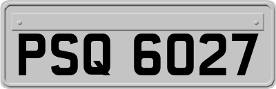 PSQ6027