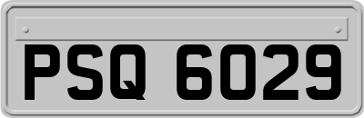 PSQ6029