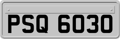 PSQ6030