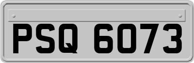 PSQ6073