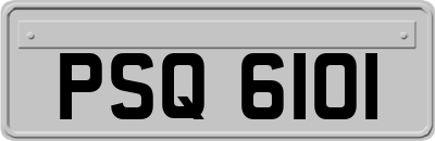 PSQ6101
