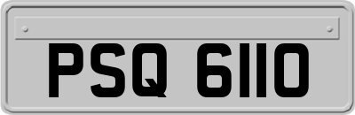 PSQ6110