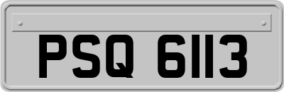 PSQ6113