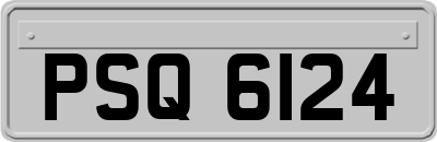 PSQ6124