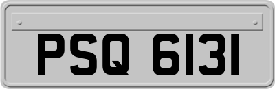 PSQ6131