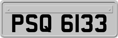 PSQ6133