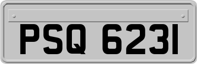 PSQ6231