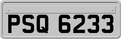 PSQ6233